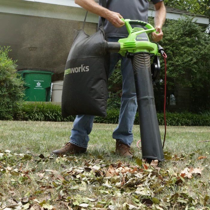 Lawn Vacuum for Garden